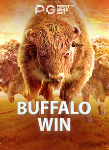 slotxo กิจกรรมทดลอง เล่น เกม sweet bonanza สนุกได้ไม่จำกัด